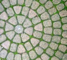 Patio pośród słońca
